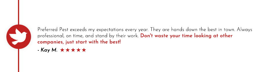 'Don't waste your time looking for other companies, just start with the best!' Preferred Pest Control bird removal services